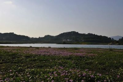 苏州太湖湿地公园好玩吗,苏州太湖湿地公园好玩吗多少钱