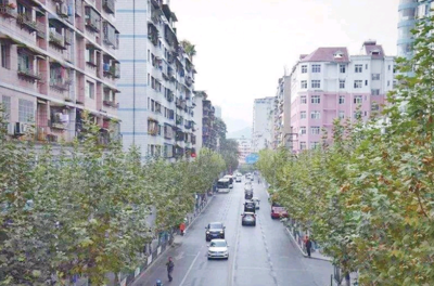 上海青年城是什么街道,上海青年城乱不乱