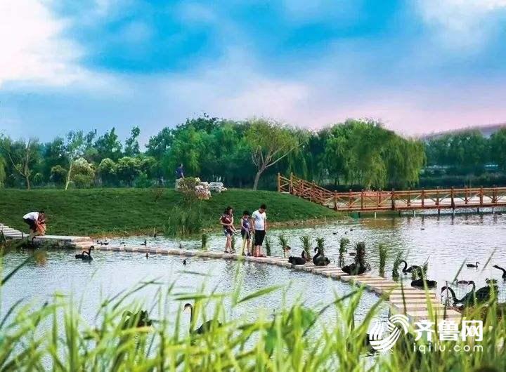 山东齐鲁网,山东齐鲁网招聘信息查询