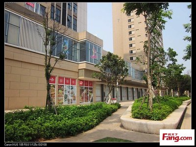 长沙万科魅力之城亲子街商铺业主群,长沙 万科 魅力之城