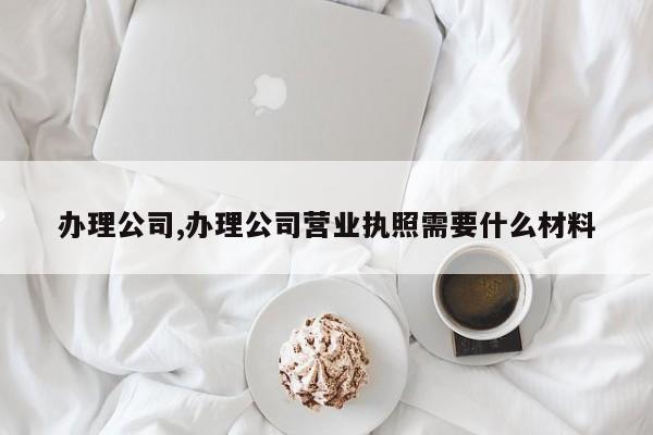 办理公司,办理公司营业执照需要什么材料