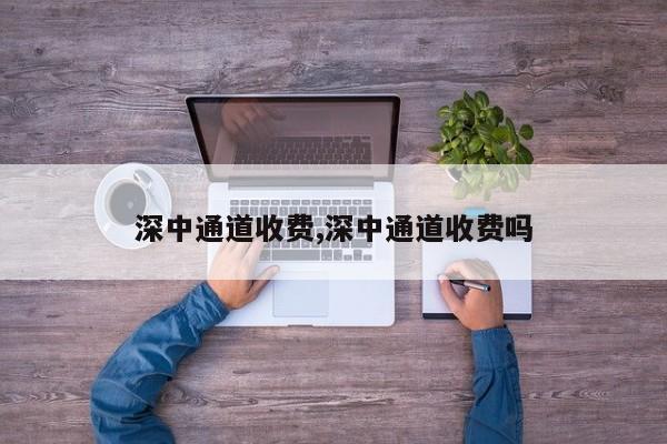 深中通道收费,深中通道收费吗