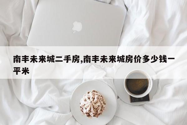 南丰未来城二手房,南丰未来城房价多少钱一平米