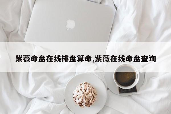 紫薇命盘在线排盘算命,紫薇在线命盘查询