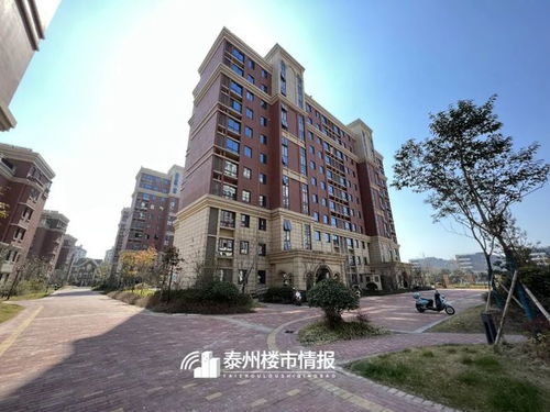 城东房产介绍怎么写