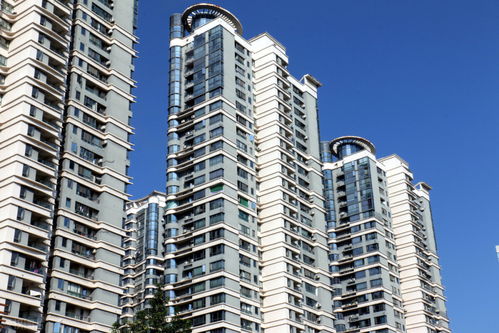 代持房产怎么分割