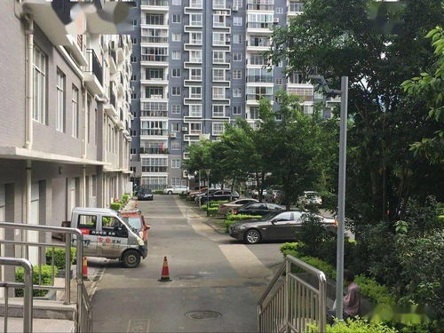 鼎业房产怎么样