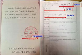 共有房产房产信息怎么填