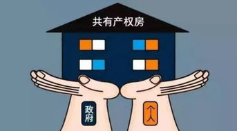 共有产权的房产怎么分配