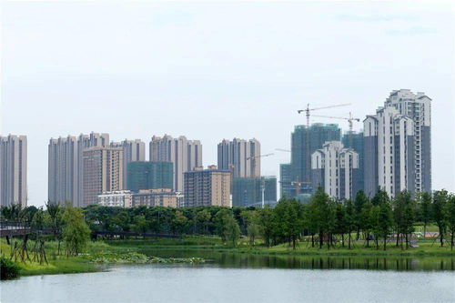 房产怎么曝光最快处理