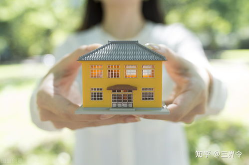 房产官司怎么