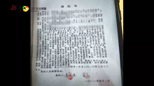 房产买卖委托书怎么写