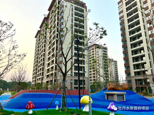 牡丹水岸首府房产怎么样
