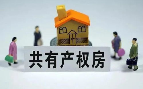 共有房产流拍后怎么办