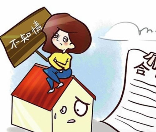 房产新人怎么养号