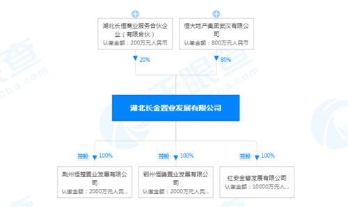 怎么查到房产是谁出资的
