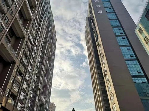 到房产大厦怎么过户