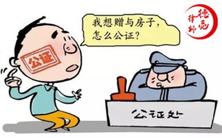 房产赠与怎么赠