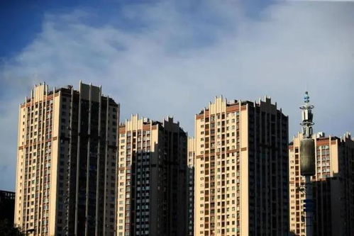 东乌房产怎么查