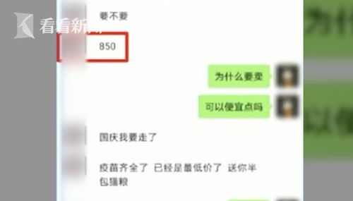 房产新人怎么挂网