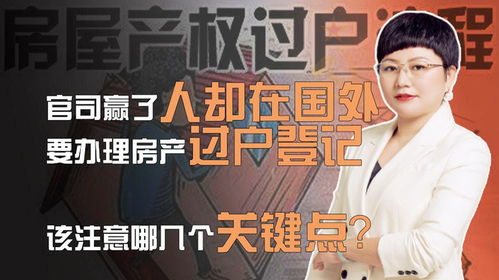 房产官司赢了怎么过户