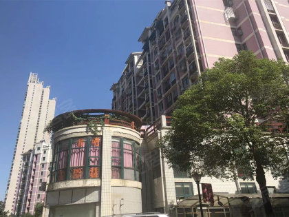 武汉国信新城房产怎么样
