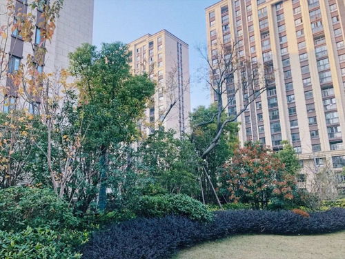 扬州房产怎么卖