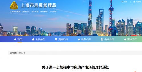 网上怎么买上海二手房产