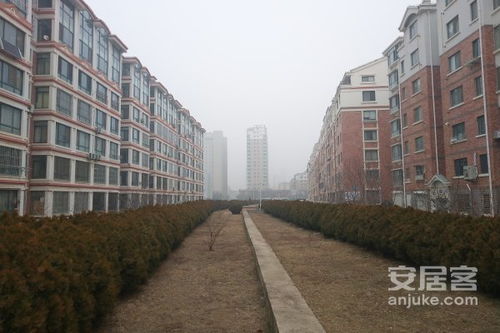 宝应蓝天房产中介怎么样