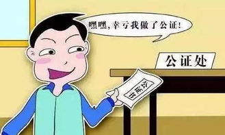 房产份额怎么办理