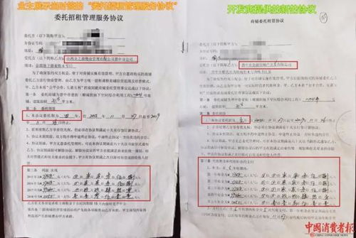 房产造册怎么查