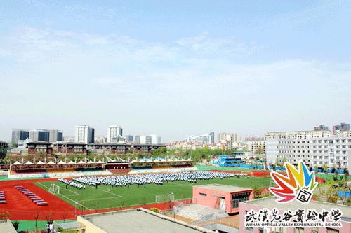 金乡怎么查房产学位