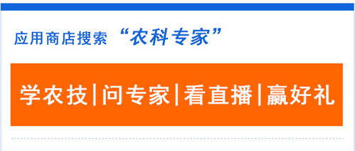 怎么获得农村房产补贴