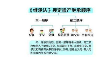房产继承怎么分配