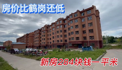 鹤岗房产怎么赚钱