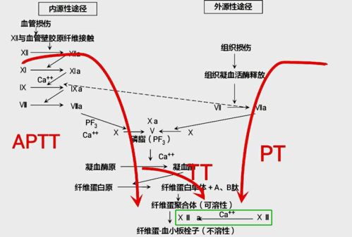 仲裁途径怎么走房产分割