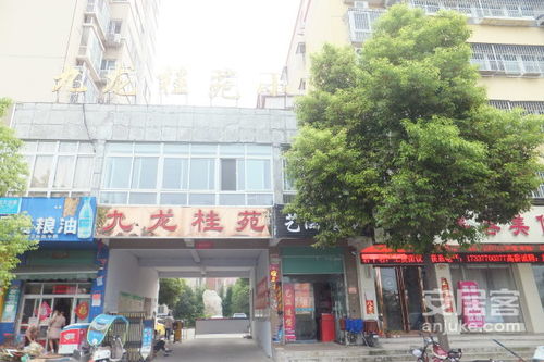 隆回九龙房产中介怎么样