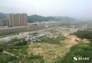 惠安房产怎么查