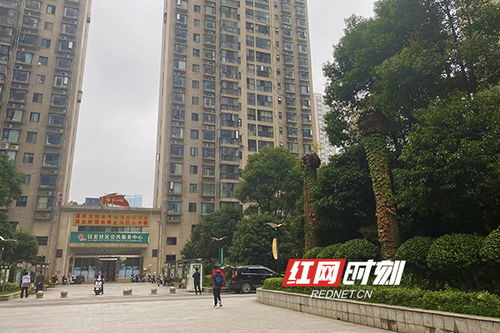 长沙做房产销售怎么样