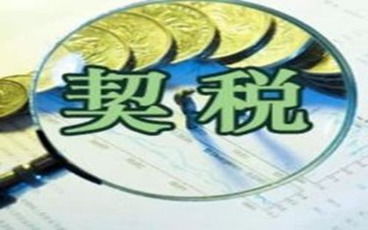 房产契税怎么补缴