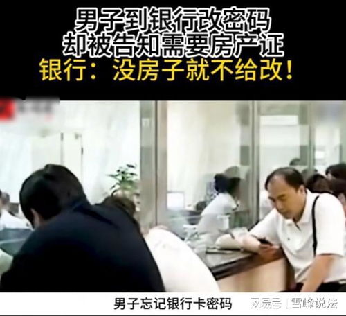 自己转移房产视频怎么拍
