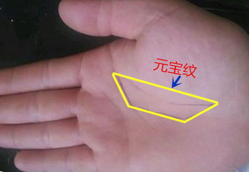 房产纹怎么看