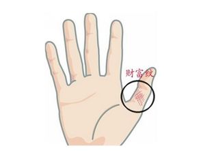 房产纹怎么看