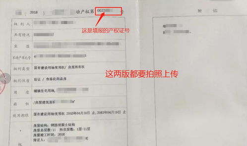 房产查档证明怎么开