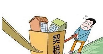 明年房产契税怎么交