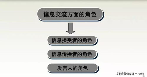 怎么管理房产团队经营