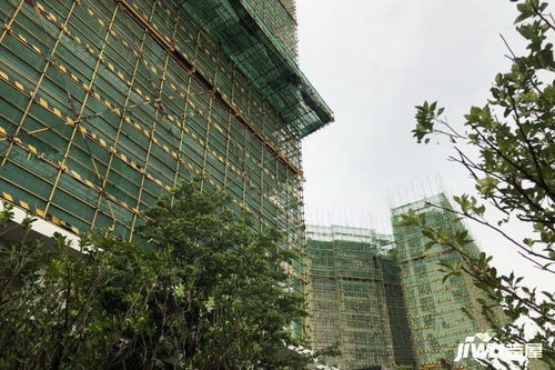 容桂金辉路劲房产怎么样
