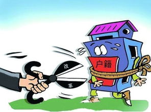 聊城有房产怎么落户