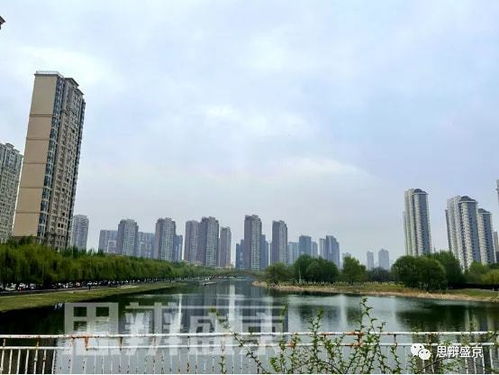 沈阳房产怎么分类