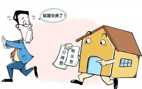 房产纠纷不交房贷怎么办